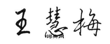 駱恆光王慧梅行書個性簽名怎么寫