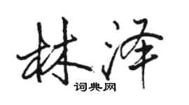 駱恆光林澤行書個性簽名怎么寫