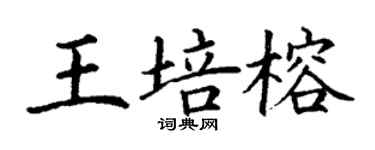 丁謙王培榕楷書個性簽名怎么寫
