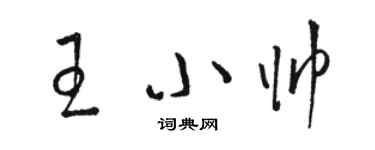 駱恆光王小帥草書個性簽名怎么寫