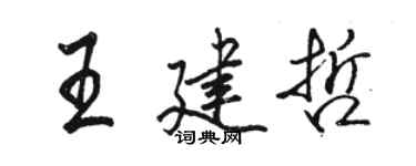 駱恆光王建哲行書個性簽名怎么寫