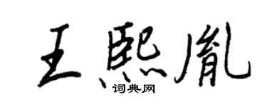 王正良王熙胤行書個性簽名怎么寫