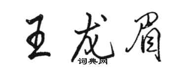 駱恆光王龍眉行書個性簽名怎么寫