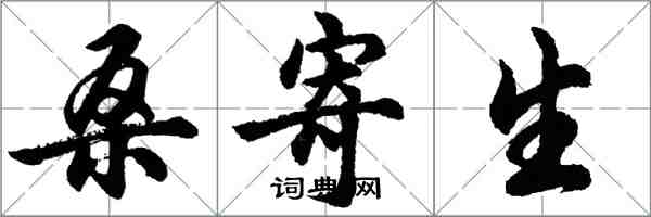 胡問遂桑寄生行書怎么寫