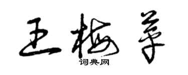 曾慶福王梅苹草書個性簽名怎么寫