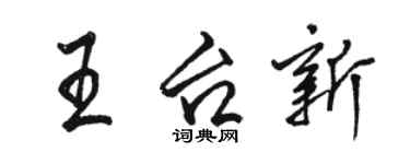 駱恆光王台新行書個性簽名怎么寫
