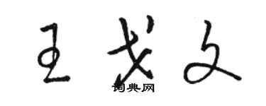 駱恆光王戈文草書個性簽名怎么寫