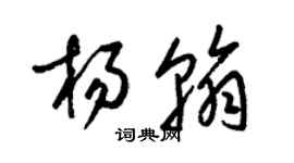 梁錦英楊翰草書個性簽名怎么寫