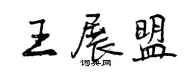 曾慶福王展盟行書個性簽名怎么寫