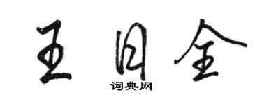 駱恆光王日全行書個性簽名怎么寫