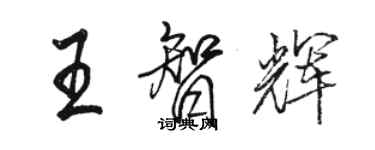 駱恆光王智輝行書個性簽名怎么寫