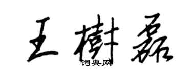 王正良王樹磊行書個性簽名怎么寫