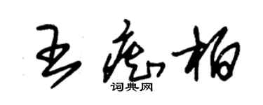 朱錫榮王痴柏草書個性簽名怎么寫