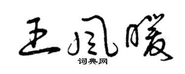曾慶福王風暖草書個性簽名怎么寫