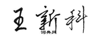 駱恆光王新科行書個性簽名怎么寫