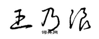 曾慶福王乃浪草書個性簽名怎么寫