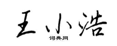 王正良王小浩行書個性簽名怎么寫