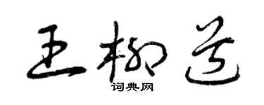 曾慶福王柳道草書個性簽名怎么寫
