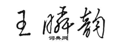 駱恆光王瞬韻草書個性簽名怎么寫