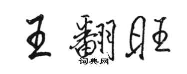 駱恆光王翻旺行書個性簽名怎么寫