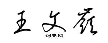 梁錦英王文嶺草書個性簽名怎么寫