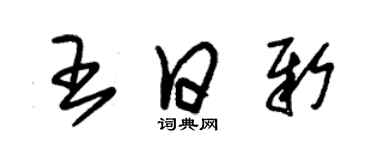 朱錫榮王日新草書個性簽名怎么寫