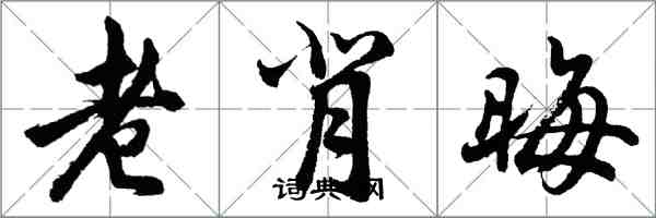 胡問遂老背晦行書怎么寫