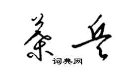 梁錦英葉兵草書個性簽名怎么寫