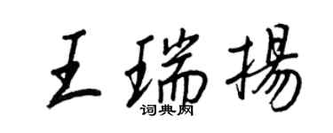 王正良王瑞揚行書個性簽名怎么寫