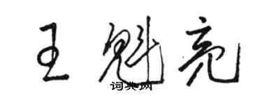 駱恆光王魁亮草書個性簽名怎么寫