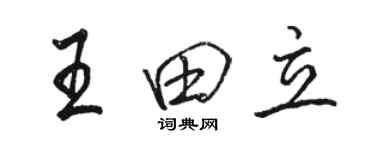 駱恆光王田立行書個性簽名怎么寫