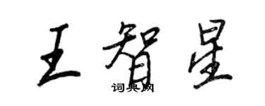 王正良王智星行書個性簽名怎么寫