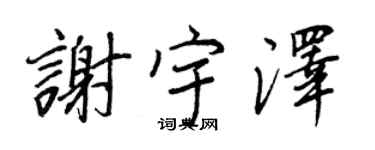 王正良謝宇澤行書個性簽名怎么寫