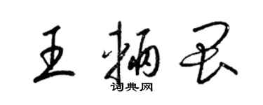梁錦英王輛畏草書個性簽名怎么寫