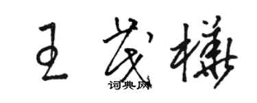 駱恆光王茂樺草書個性簽名怎么寫