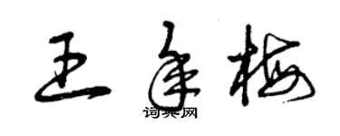 曾慶福王年梅草書個性簽名怎么寫