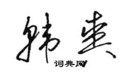 駱恆光韓爽草書個性簽名怎么寫