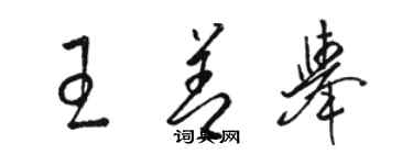 駱恆光王善舉草書個性簽名怎么寫