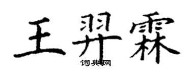 丁謙王羿霖楷書個性簽名怎么寫
