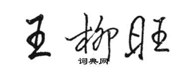 駱恆光王柳旺行書個性簽名怎么寫