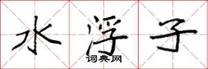 袁強水浮子楷書怎么寫