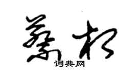 朱錫榮蔡相草書個性簽名怎么寫