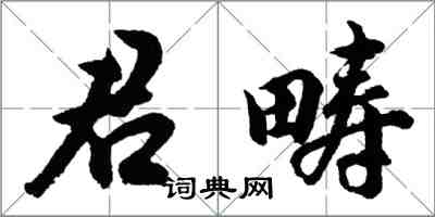胡問遂君疇行書怎么寫