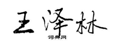 曾慶福王澤林行書個性簽名怎么寫