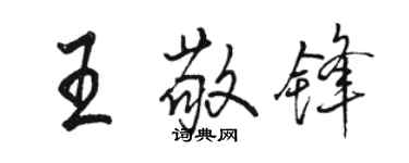 駱恆光王敬鋒行書個性簽名怎么寫