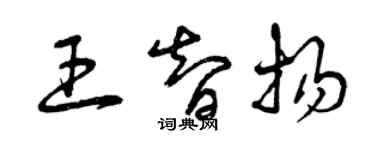 曾慶福王智揚草書個性簽名怎么寫