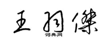 梁錦英王羽傑草書個性簽名怎么寫