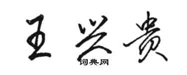 駱恆光王興貴行書個性簽名怎么寫