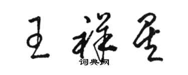 駱恆光王祥星草書個性簽名怎么寫