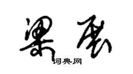 朱錫榮梁展草書個性簽名怎么寫